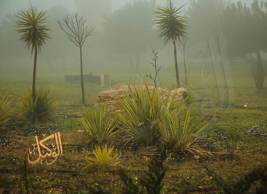 Image1_2201927124459724720179.png