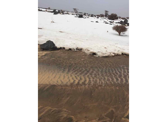 Image3_10201830132414753848723.png