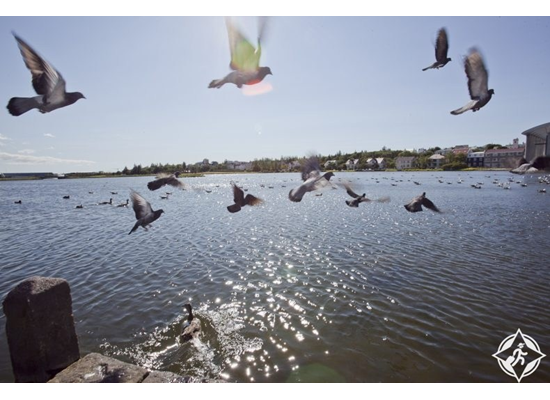 Image4_1220186121514127077014.png