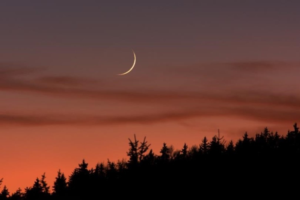 مفتي المملكة: غدا أول أيام شهر شعبان 