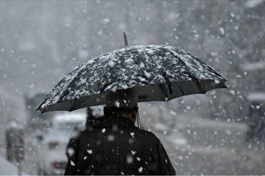 جامعة جديدةتحوّل المحاضرات إلى التعليم عن بُعد الثلاثاء 