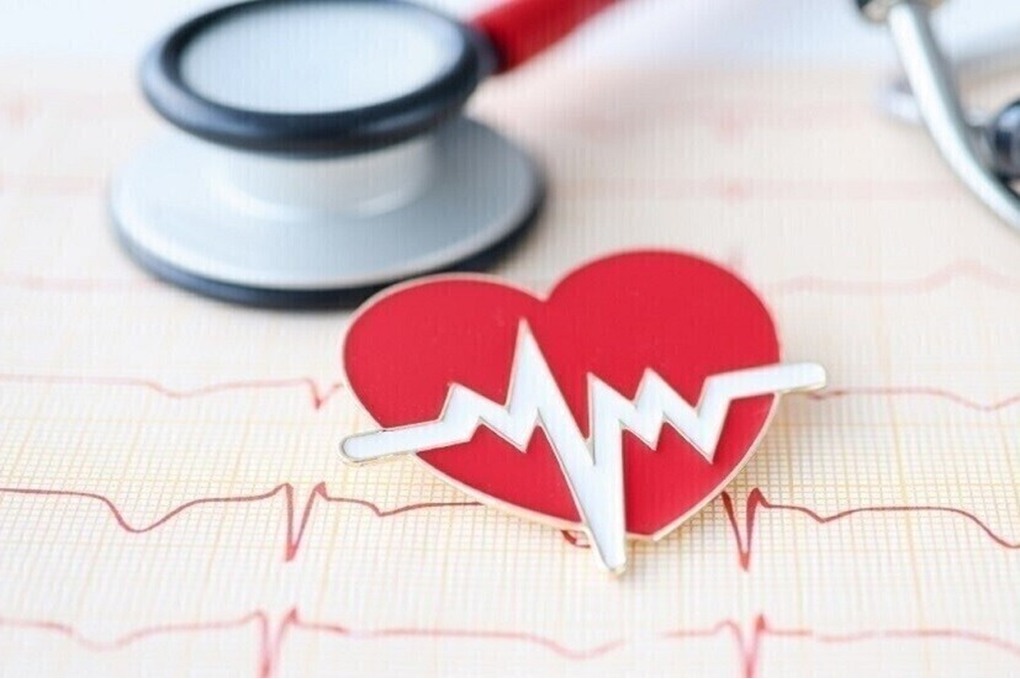 اكتشاف علمي ينفي الاعتقاد بعدم قدرة القلب على الشفاء بعد النوبات 