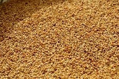 حشرات وديدان بحاويات سمسم وصلت مطابخ الأردنيين