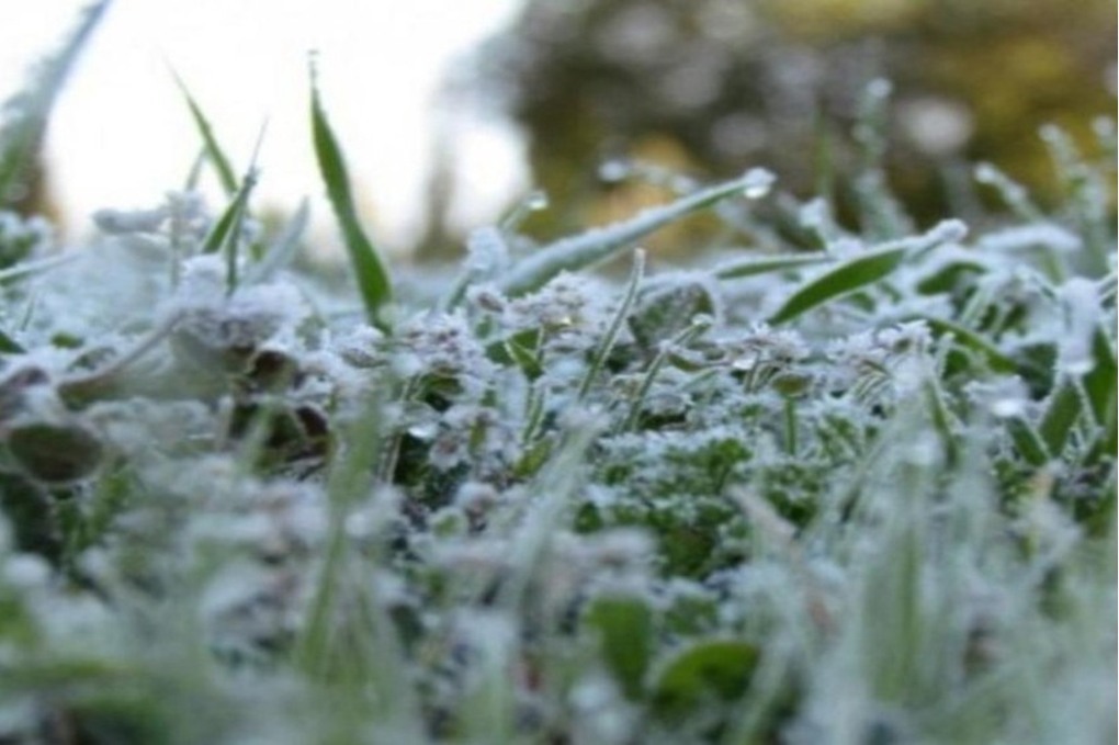 الأرصاد تحذر الأردنيين من الصقيع 