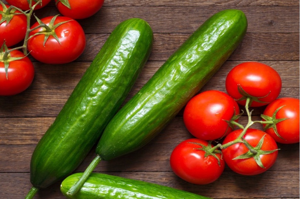 وزارة الزراعة تعلق تصدير البندورة والخيار لمدة 10 أيام 