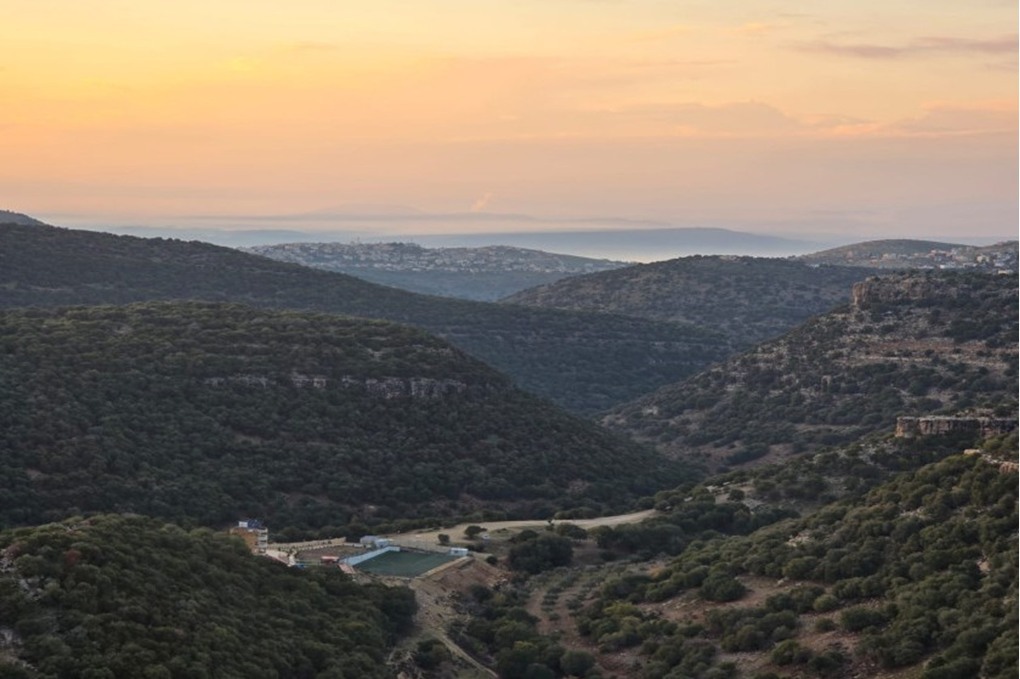 وزير الزراعة: حماية الأراضي الحرجية أولوية وطنية ورفع الجاهزية خلال الصيف