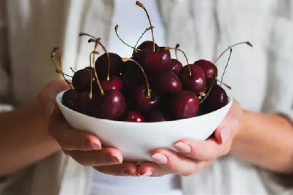 كيف يحمي الكرز الجسم من الالتهابات والأمراض المزمنة؟ 