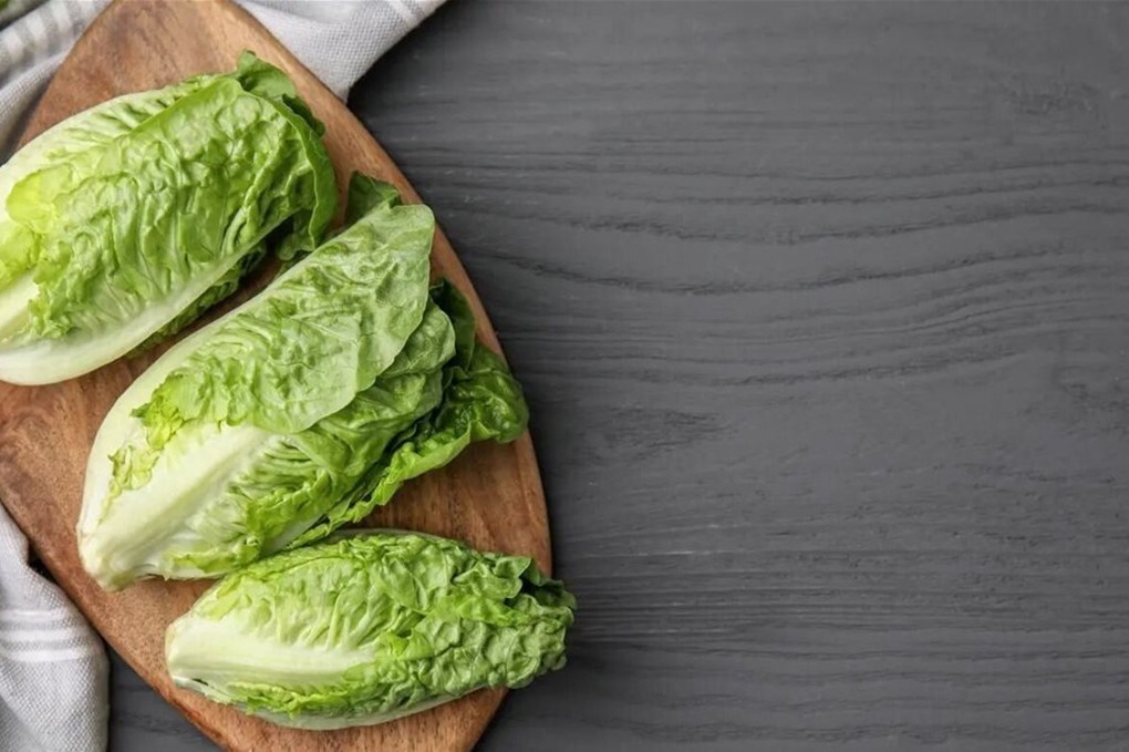 لماذا يُنصح بإدخال الخس في النظام الغذائي اليومي؟ 