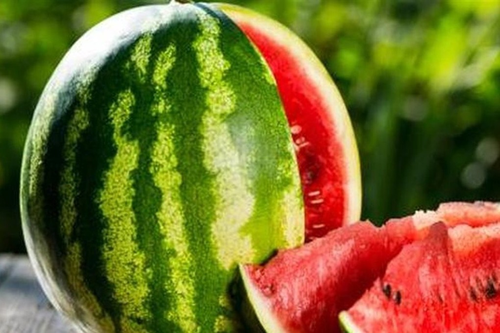 الزراعة المصرية تحسم الجدل بشأن البطيخ المسرطن 