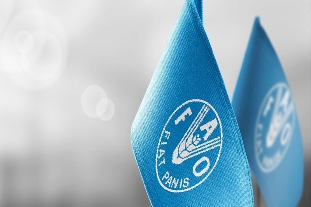 الفاو: أسعار الغذاء العالمية واصلت الارتفاع في آذار الماضي 