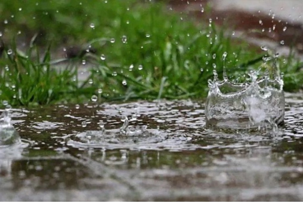 زراعة جرش: تجاوز المعدل السنوي للأمطار يبشر بموسم مميز 